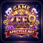zee9 game